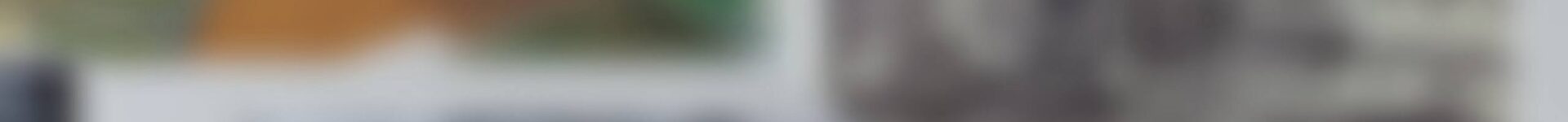 Работа жюри и участие в выставке