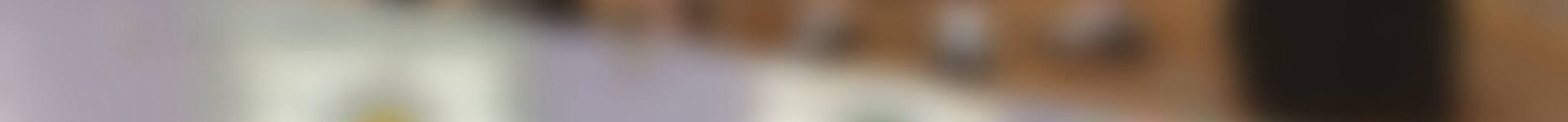 Встреча с Владыкой