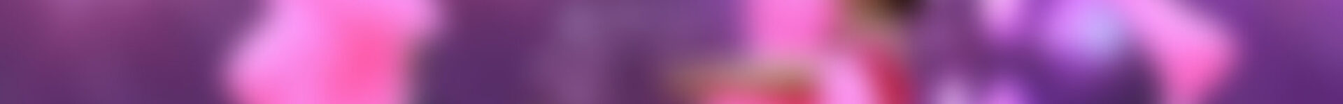 «Большой Кубок ТСК «Эльф»